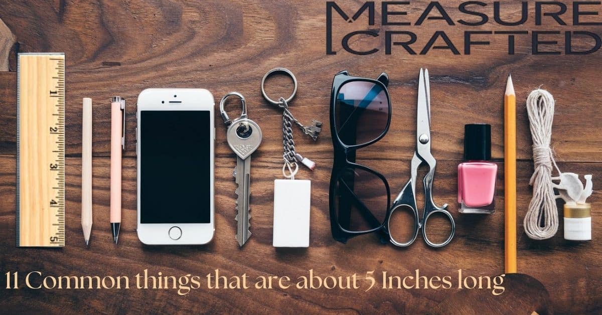 11 common things that are about 5 inches long