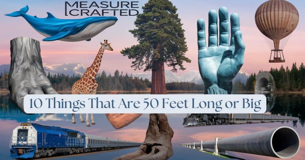 different things that are 50 feet long or big