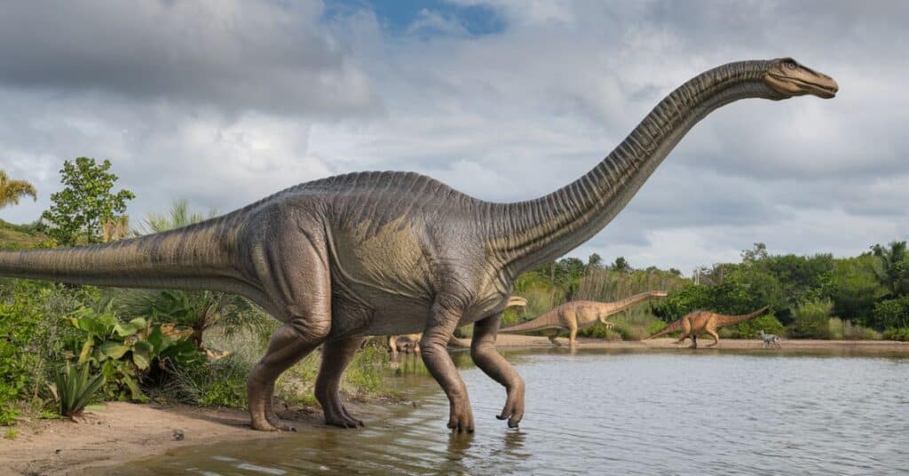 An image of diplodocs dinosaur near the water showing its huge 80 feet body.