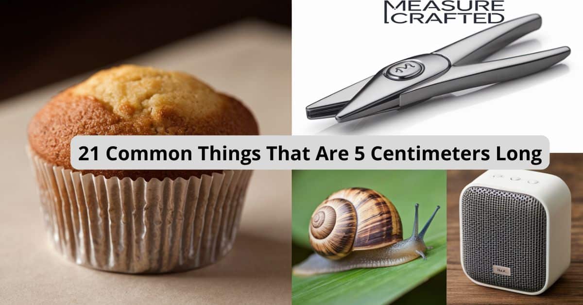 Collage of mini muffins, snail, mini speaker and nail clippers