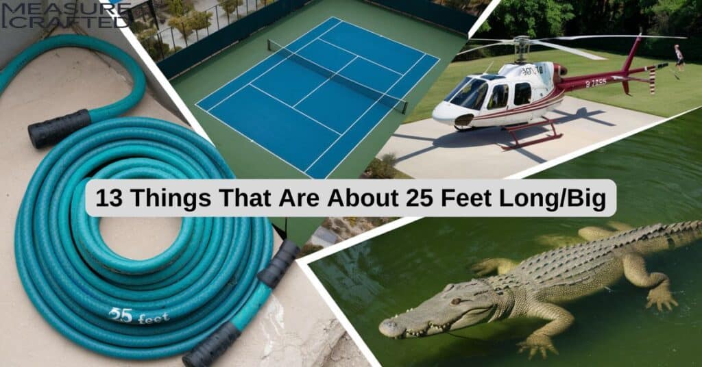 A collage featuring various 25 feet objects, including a Robinson R22 Helicopter, tennis court, saltwater crocodile and Garden Hose