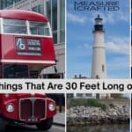 A collage showing a london bus, T. rex, lighthouse and basketball court, all highlighting examples of 30 feet in length.