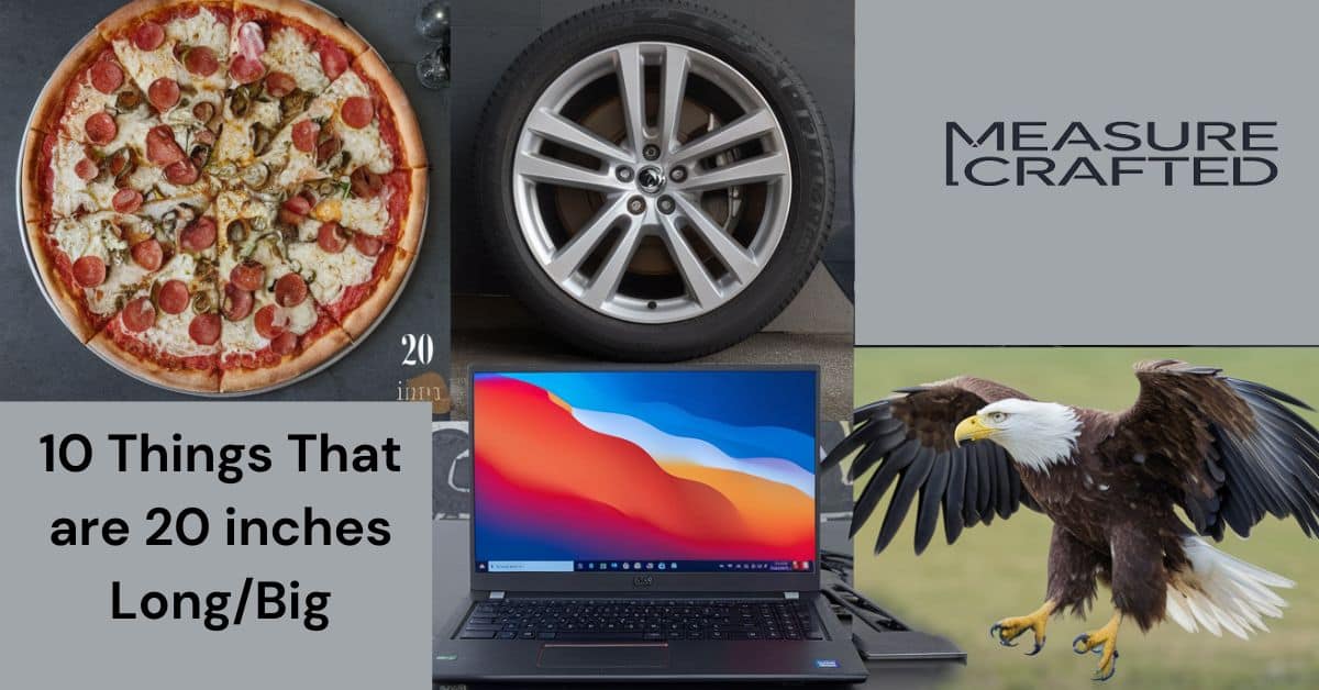 A collage of different 20 inches items, including a laptop, pizza, eagle, and car wheel rims, representing the versatility of this measurement.