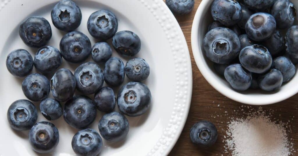 Close up image of blueberries in the bowl.