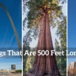 A picture of structures approximately 500 feet tall, including the Gateway Arch, tall skyscraper and a redwood tree.