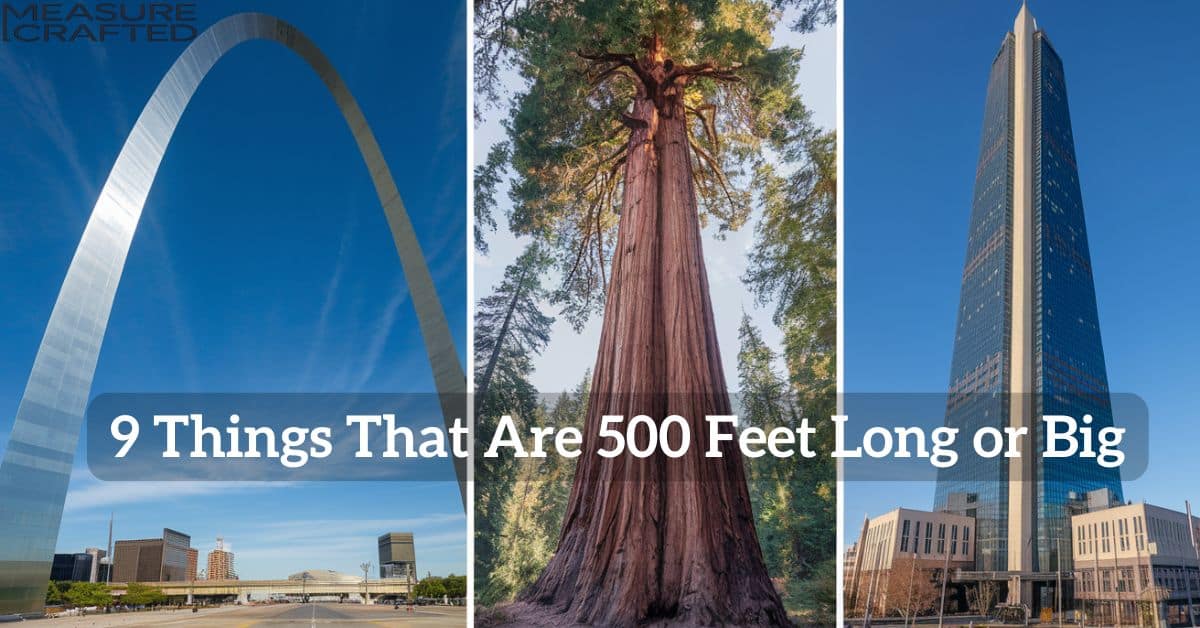 A picture of structures approximately 500 feet tall, including the Gateway Arch, tall skyscraper and a redwood tree.