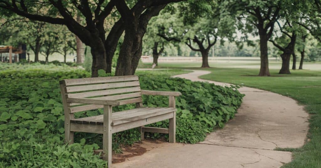 A wooden park bench about 5 feet long, set in a park with trees and a walking path.