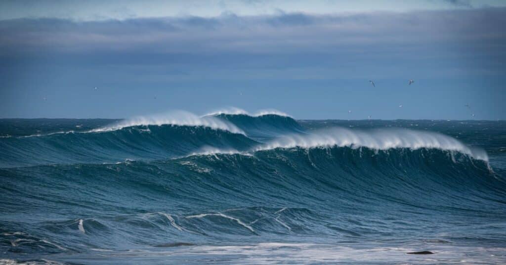 A photo of the middle of  huge waves. The sky is overcast, and the water is a deep blue. There are whitecaps on the waves, and the horizon is partially visible. The background contains a few seagulls.