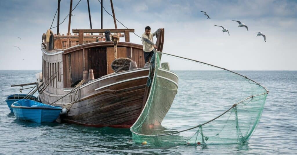 A photo of a traditional wooden ship at sea. A man is standing on the ship and casting a large fishing net into the water. The ship has a few small boats tied to it.