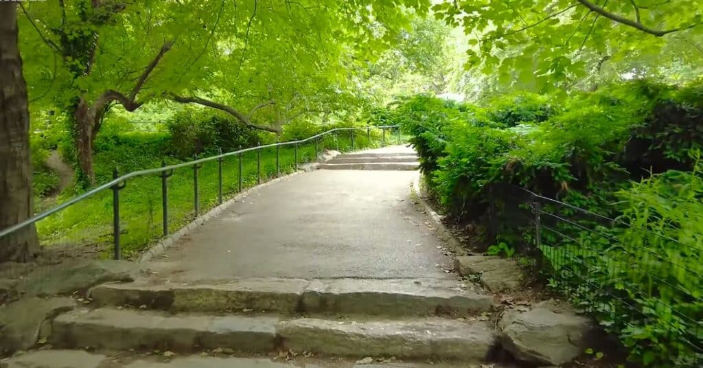 A picture of the park, which is in Manhattan. There is a track for people to wallk and both sides of the tracks are covered in greenery.