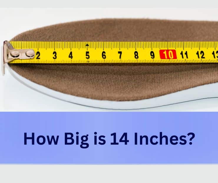 How Big is 14 Inches?