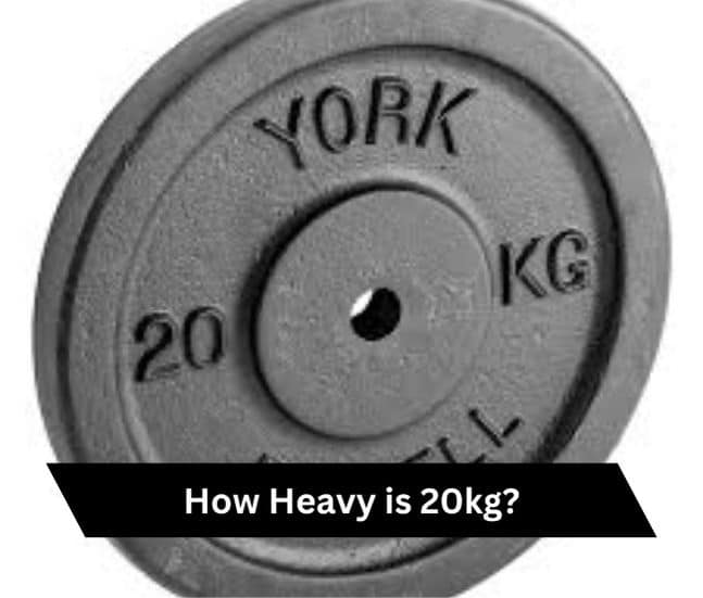 How Heavy Is 20kg