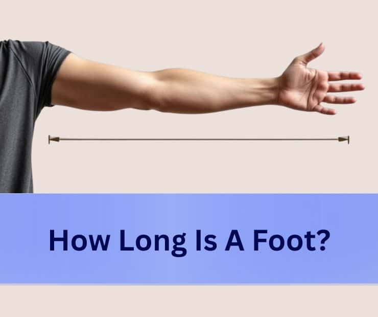 How Long Is A Foot?