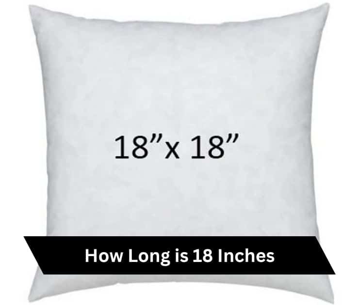 How Long is 18 Inches