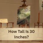 How Tall Is 30 Inches?