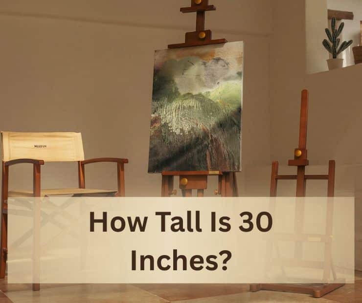 How Tall Is 30 Inches?