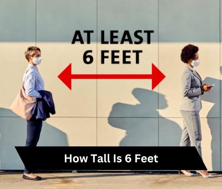 How Tall Is 6 Feet