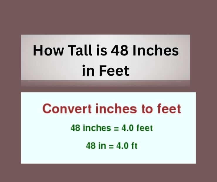 How Tall is 48 Inches in Feet