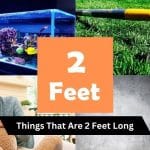Things That Are 2 Feet Long