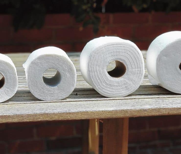 Toilet Paper Rolls