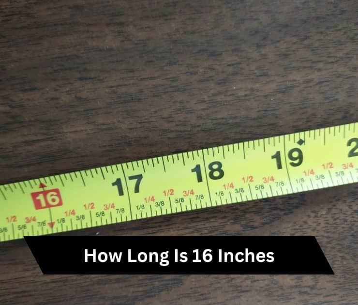 how long is 16 inches