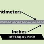 how long is 9 inches