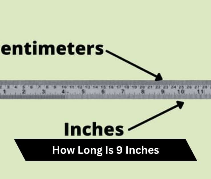 how long is 9 inches